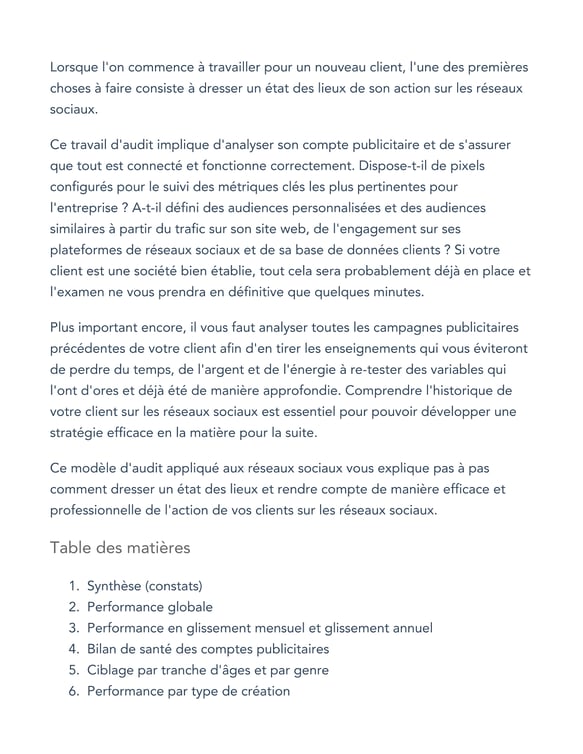 modèle d'audit réseaux sociaux