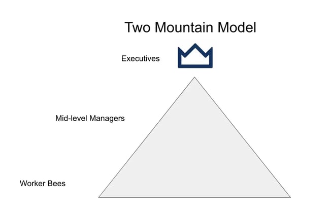 solution selling two mountain model example from Jamal Reimer with decision executives and mid-level managers at the top and reps at the bottom.