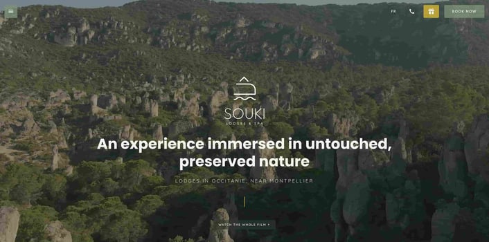 website background with bold image in header section followed by text-heavy section