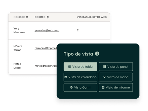 Flexible CRM Views_ES