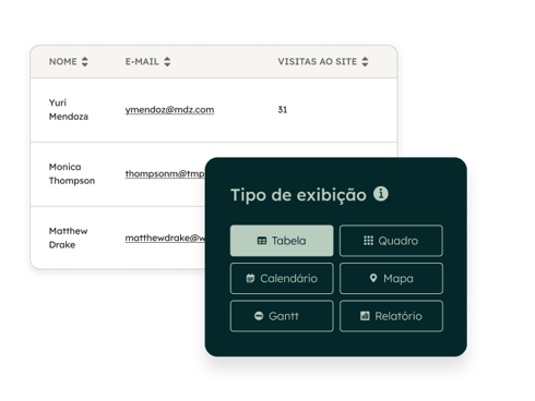 Flexible CRM Views_PT