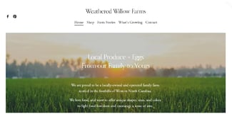 squarespace2