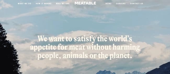 startup-websites_11
