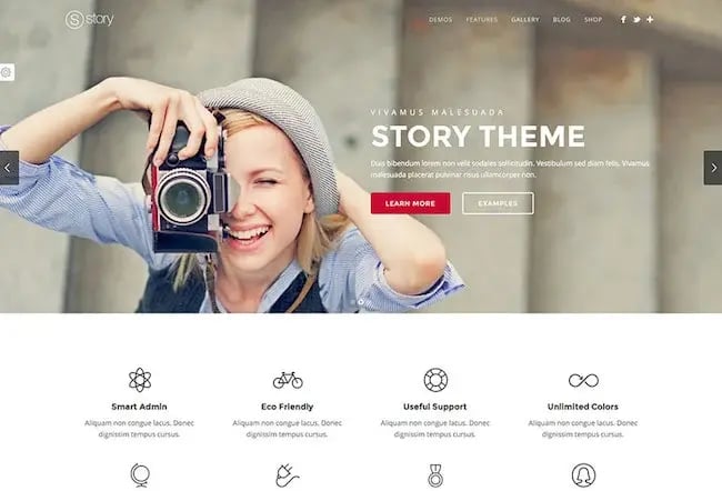 Story is a powerful multipurpose WordPress theme that can be used to create any kind of business or personal website.