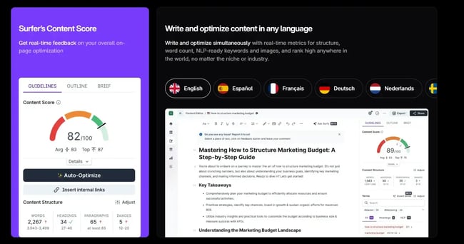 surferseo, ai website optimization