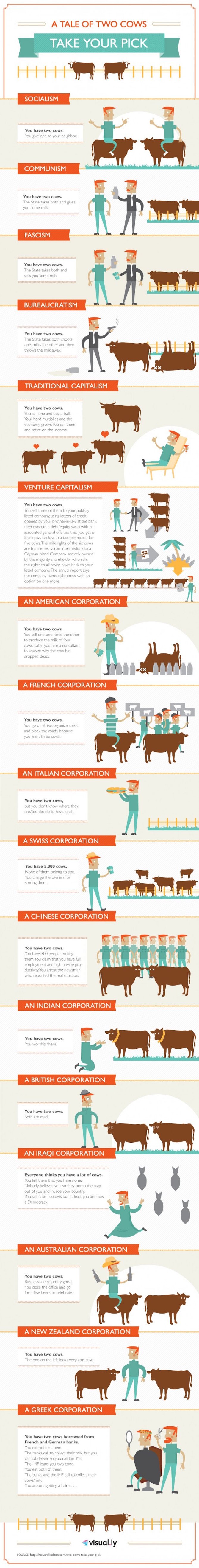 tale-of-two-cows-infographic.jpg