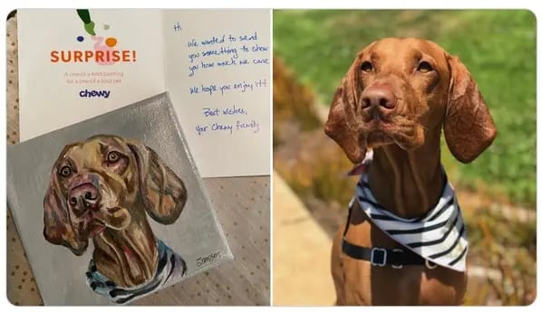 Thank you letter for customer from Chewy