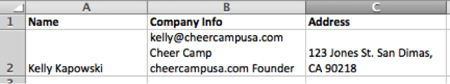 Too much contact information in one cell of an Excel contact sheet