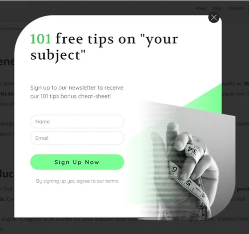 example of a lead capture form using thrive builder