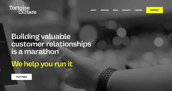 tortoise & hare home page virtual assistant website example with video background