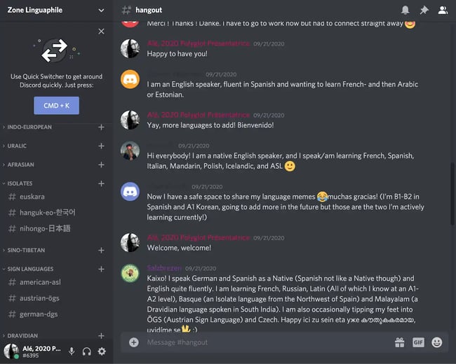 Twitter alternatives for customer service, Discord