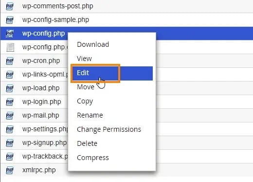 How to Update WordPress Automatically via cPanel: Edit wp-config.php file