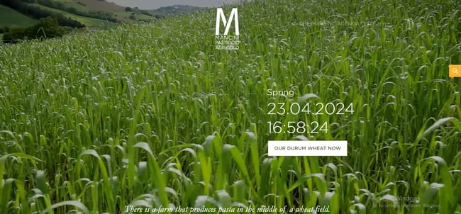 video as background image css example from pasta mancini
