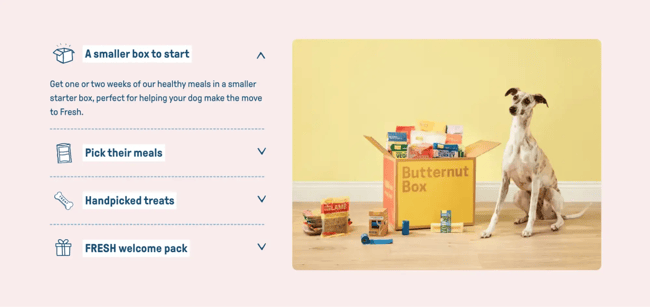 voice of the customer examples, butternut box’s successful voc program