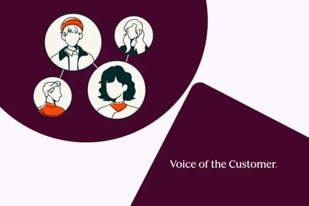 voice of the customer