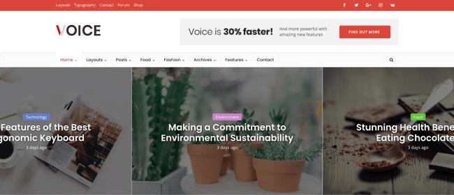 wordpress affiliate marketing theme; Voice
