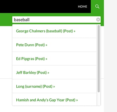 web page for the WordPress search plugin SearchWP