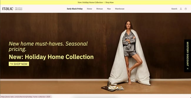 website home page design, italic