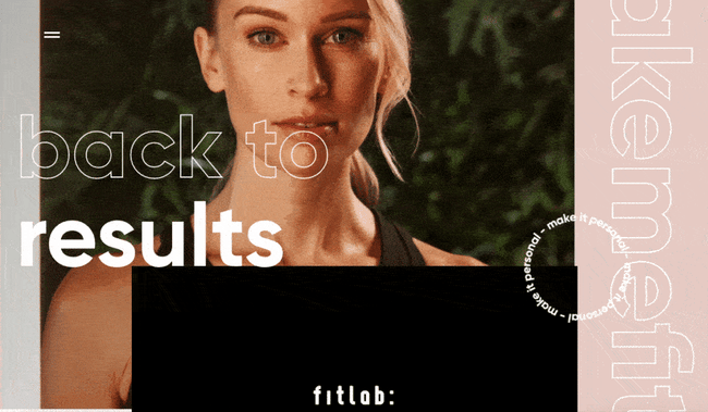 website design guidelines, visuals and media fitlab