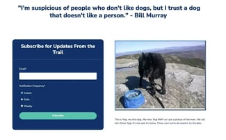 building my first website: an email subscription form