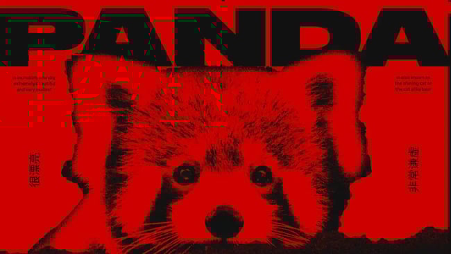 Red Panda website animation example