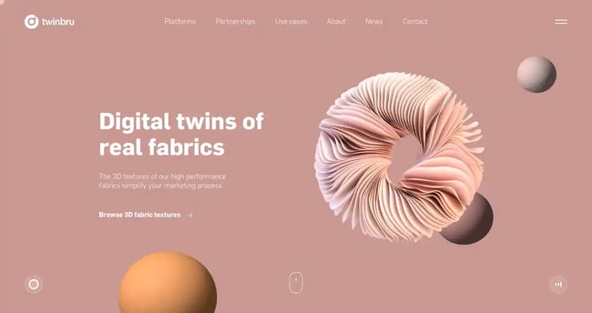 Twinbru website animation example