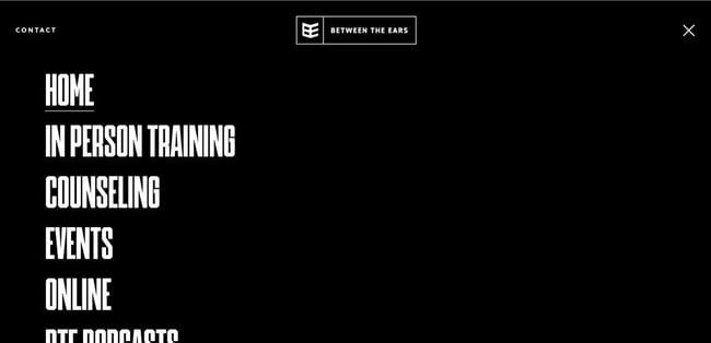 website layout examples, between the ears uses a text-based layout