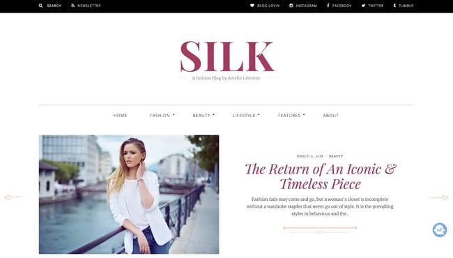wordpress affiliate marketing theme; silk