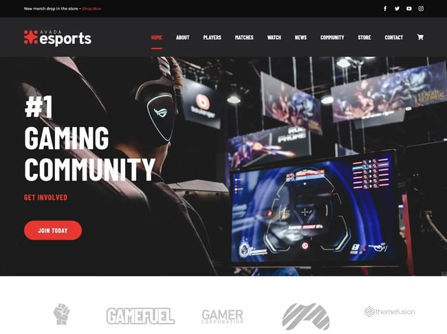 Video game WordPress theme, Armadon
