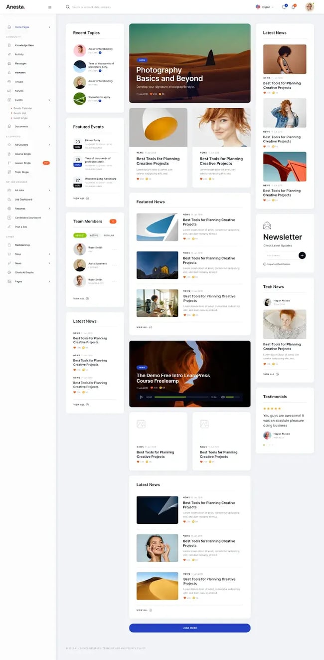 wordpress intranet themes, Anesta