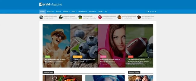 a demo of the WordPress tech blog theme Herald