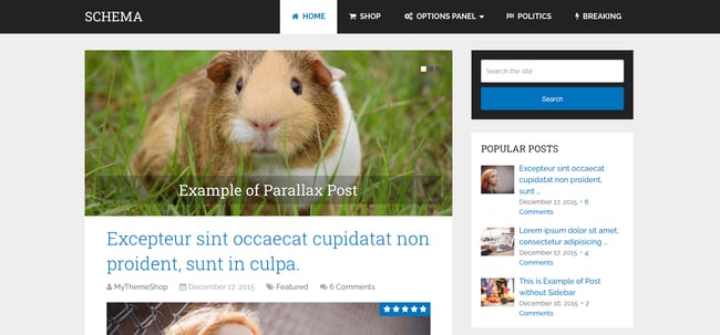 a demo of the WordPress tech blog theme Schema