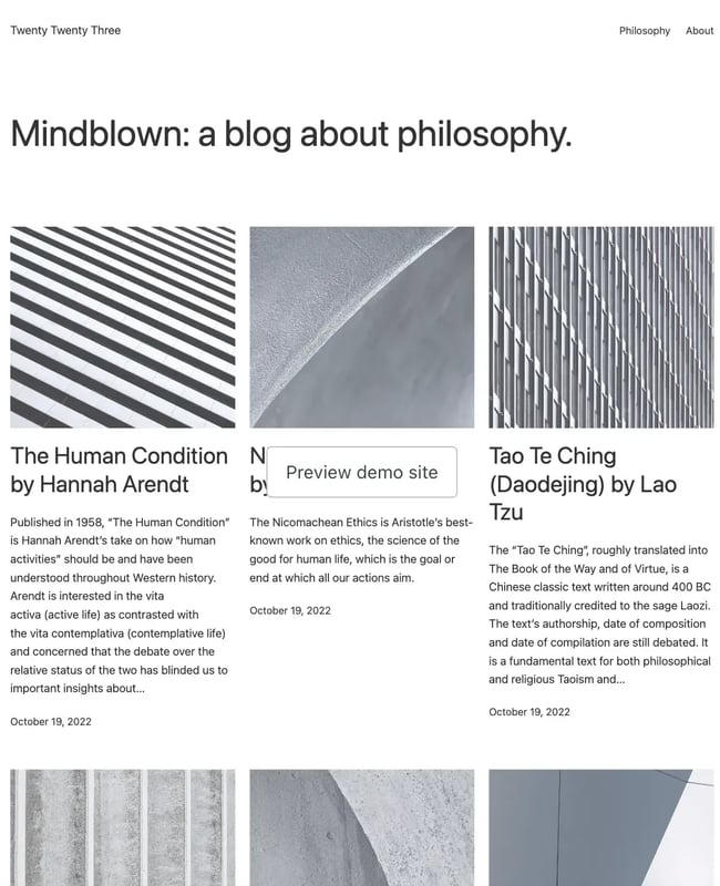 wordpress theme, 2023