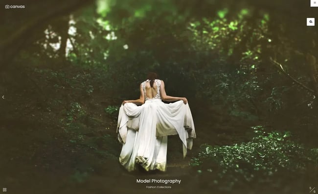 wordpress themes for artists, Canvas