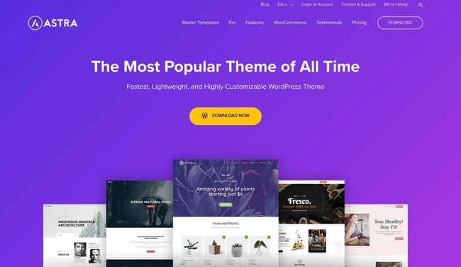 best wordpress food blog themes, Astra