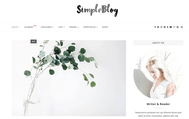 wordpress food blog themes, Soledad