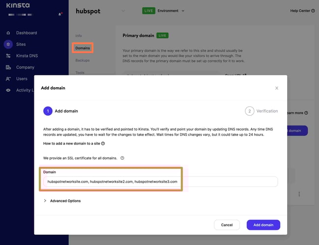 WordPress multisite domain mapping: Kinsta