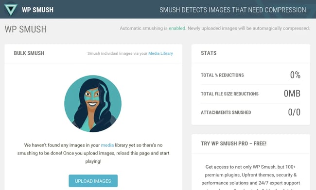 Best WordPress plugins, Smush