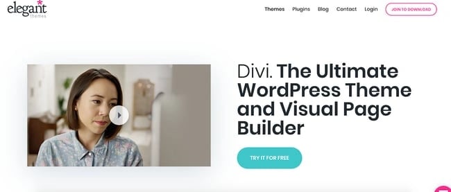 word press theme, divi