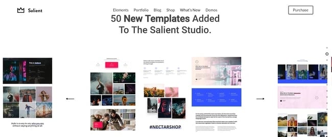 wordpress theme, salient