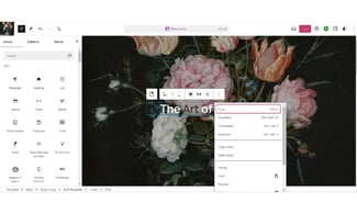 wordpress6