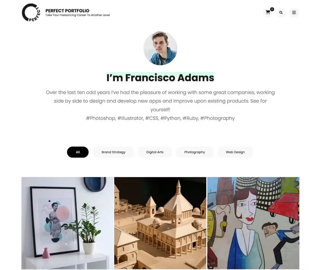 best Wordpress portfolio themes, Perfect Portfolio