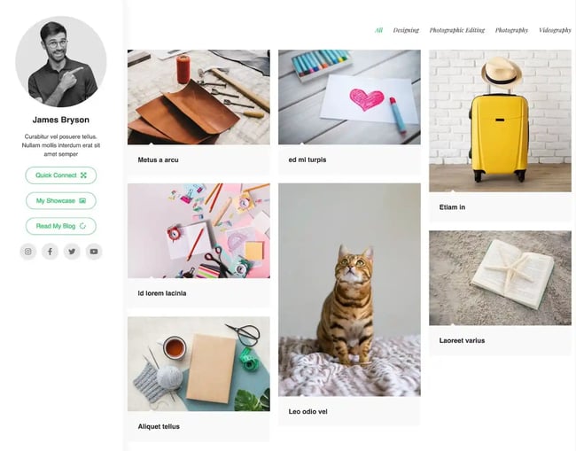best Wordpress portfolio themes, OceanWP