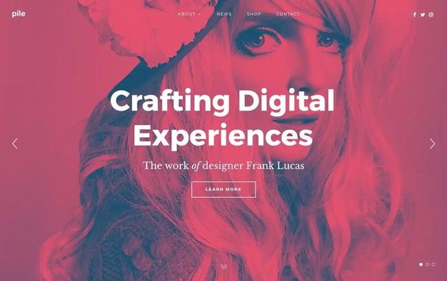 best Wordpress portfolio themes, Pile
