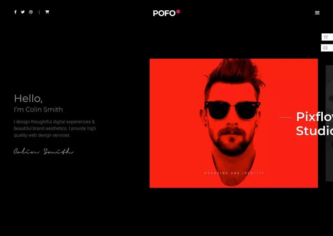 best Wordpress portfolio themes, Pofo