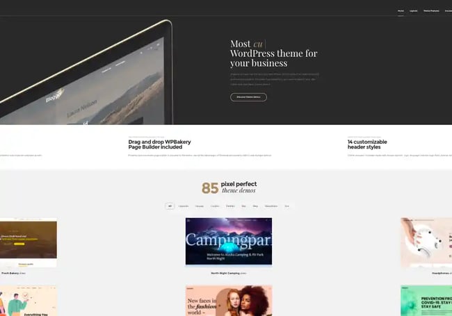 Ronneby is  multipurpose WordPress theme that can be customized to your company's specific website needs. 