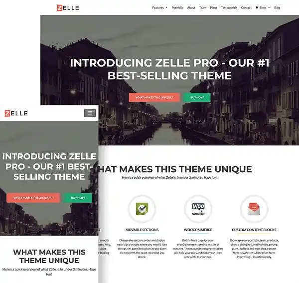 zelle pro wordpress theme full screen