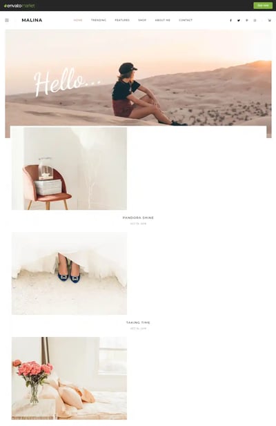 Best WordPress Instagram Themes Malina