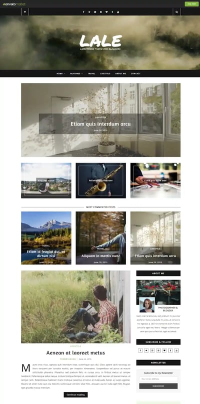 Best WordPress Instagram Themes Lale