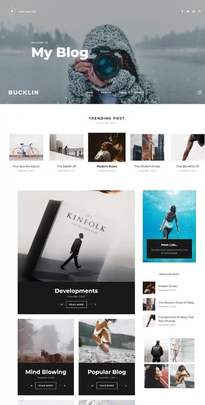 Best WordPress Instagram Theme Bucklin